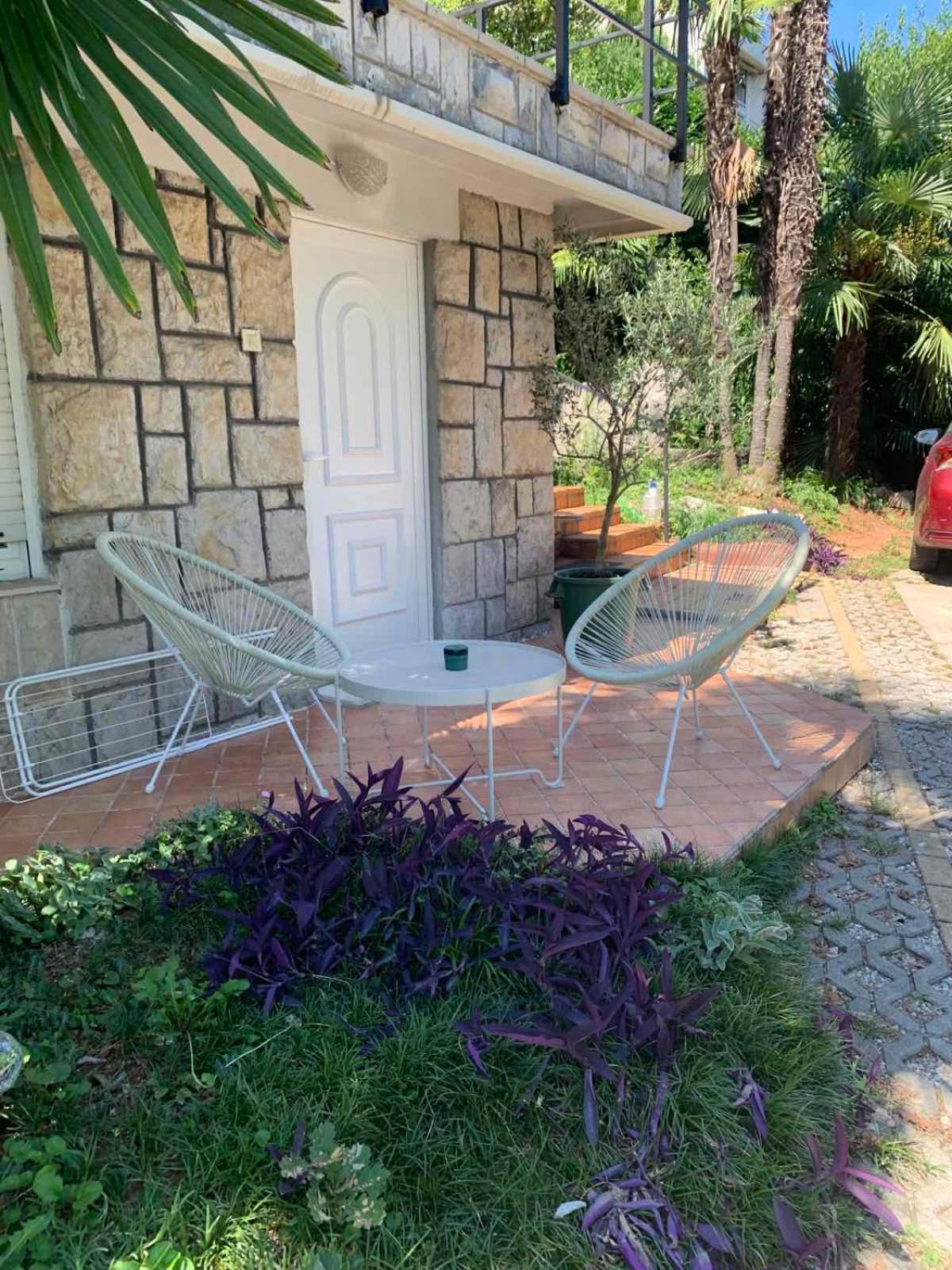 Sheltered Oasis In Apartma